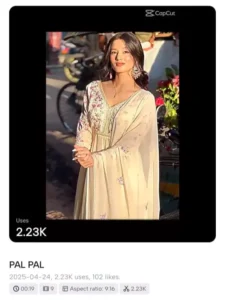 Pal Pal Jeena Muhal CapCut Templates