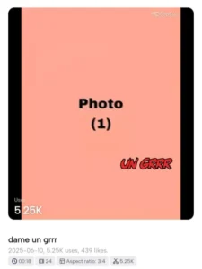 Damin Un Grr CapCut Templates