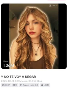 X Remix Capcut Template Link 2026