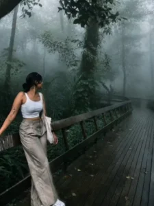  Foggy Forest Prompt 