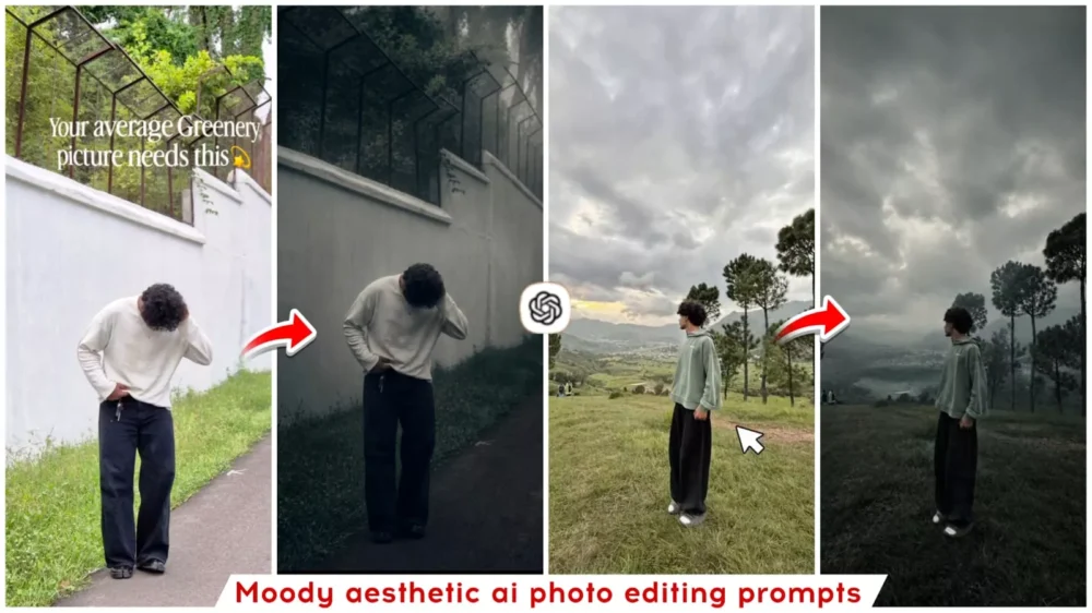 Moody Aesthetic Ai photo Editing Prompt Chatgpt
