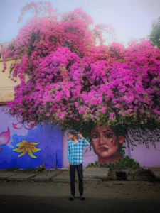Bougainvillea Flower Ai photo Editing Prompt Gemini