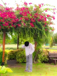 Viral Bougainvillea Flower Ai photo Editing Prompt