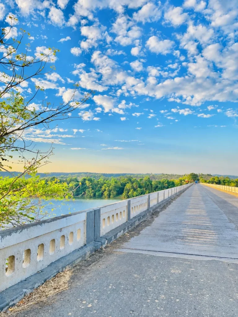 Aesthetic Road Nature Ai Photo Background