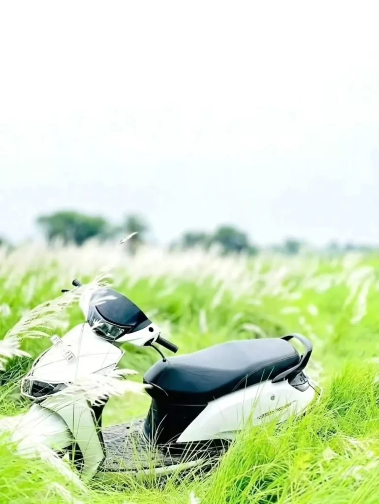 Kash Flower Ai Photo Editing Background 2026 (2)