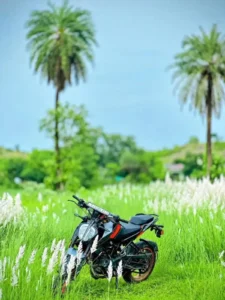 Kash Flower Ai Photo Editing Prompt