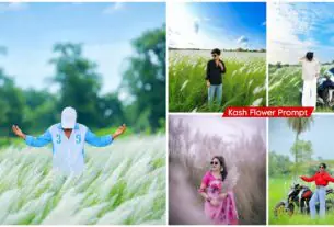 Kash Flower Ai Photo Editing Prompt Chatgpt 2026